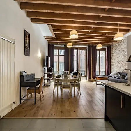 Apartamento Allinlyon | Grand Loft Chic & Chaleureux