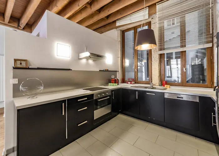 In | Grand T3 Esprit Loft - Apartmán Lyon